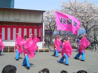 静岡県-桜湖頭様（よさこい旗）