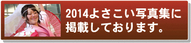 よさこい写真集2014静岡大学お茶ノ子祭々