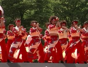 2001年よさこい-北の大地様-5