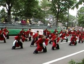 2001年よさこい-最北烈風隊様-9
