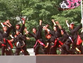 2001年よさこい-華舞輝会様-5