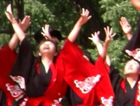 2001年よさこい-華酔組様-12