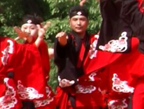 2001年よさこい-華酔組様-15