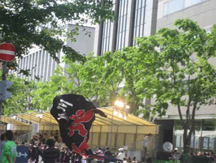 2007年よさこい-北の大地様-9