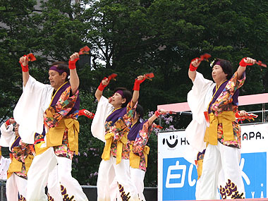 2011年よさこい-旭川炎華様-2