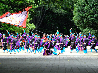 2011年よさこい-迫-HAKU-様-1