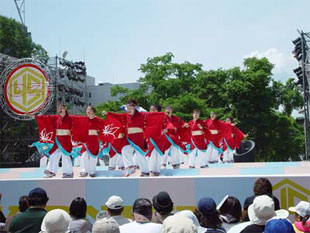 2007年よさこい-ひがしかぐら東神酔華の舞様-12