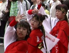 2001年よさこい-百花繚乱様-13