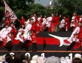 2001年よさこい-百花繚乱様-2