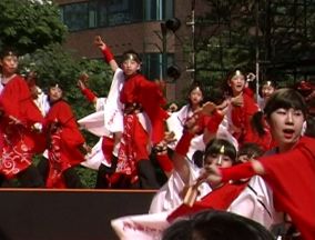 2001年よさこい-百花繚乱様-3