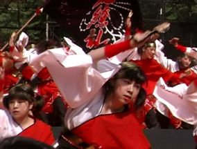 2001年よさこい-百花繚乱様-4