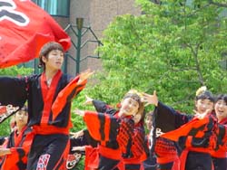 2003年よさこい-旭川華酔組様-9