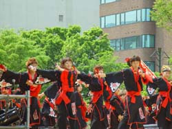 2003年よさこい-旭川華酔組様-1