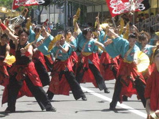 2007年よさこい-華酔組様-23