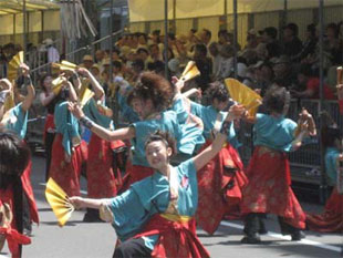 2007年よさこい-華酔組様-22