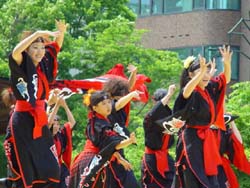 2003年よさこい-旭川華酔組様-6