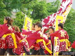 2003年よさこい-恵生乱・葉沙乱様-8