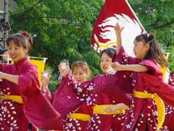2003年よさこい-恵生乱・葉沙乱様-4