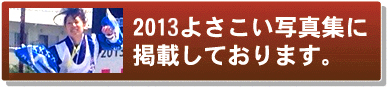 よさこい写真集2013ひらかわ組魅鷺貢
