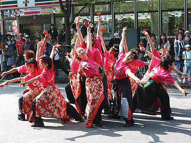2011年よさこい-平取義経なるこ会様-10