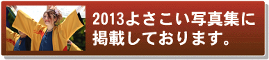 よさこい写真集2013朝霞なるこ遊和会