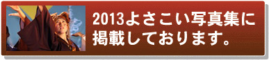 よさこい写真集2013お茶ノ子祭々様
