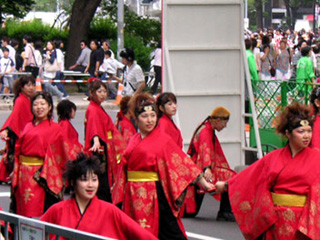 2005年よさこい-華酔組様-1