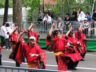 2005年よさこい-華酔組様-2