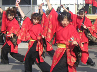 2005年よさこい-華酔組様-4
