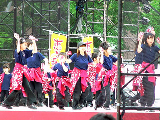 2005年よさこい-恵生乱・葉沙乱様-3
