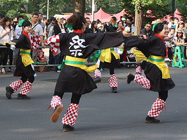 2011年よさこい-祭援隊しらたき様-3