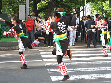 2011年よさこい-祭援隊しらたき様-6