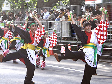 2011年よさこい-祭援隊しらたき様-7