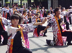 遊人（あっぴ）様2013年お写真ページ