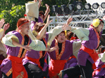 佛教大学よさこいサークル紫踊屋様2013年お写真ページ
