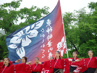 2006年よさこい-ひがしかぐら-東神酔華の舞様-2