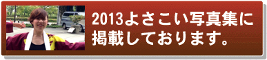 よさこい写真集2013よさこいチーム友義