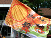 灼熱嵐舞様2015年お写真ページ