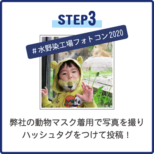 フォトコン応募ステップ3