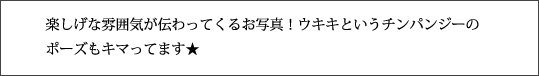 なりきっているで賞 文章