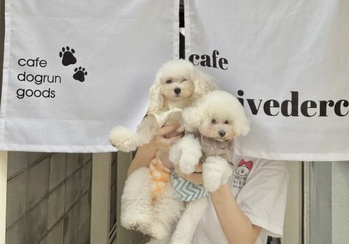 可愛い仕上がりに大満足!!