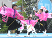 2008年よさこい-旭川華舞輝会