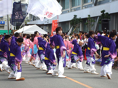 2010年よさこい-春の風咲乱れ様-2